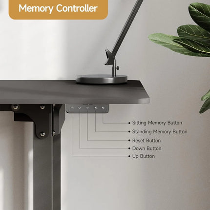 FurnitureZ l  63x30" Rectangle Stand Up Desk for Home Office