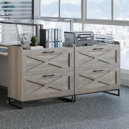 FurnitureZ l  2 Drawer Lateral File Cabinet for Home Office