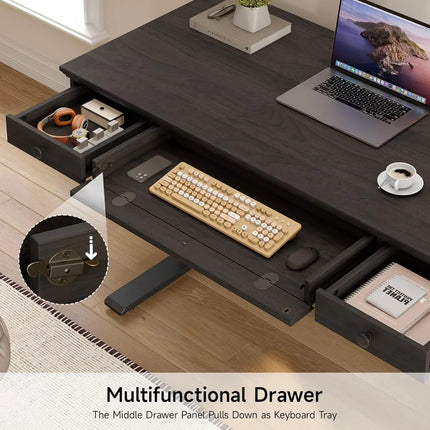 FurnitureZ l  55x23" Electric Height Adjustable Desk for Home Office