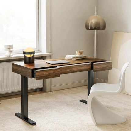 FurnitureZ l  Electric Standing Desk for Home Office